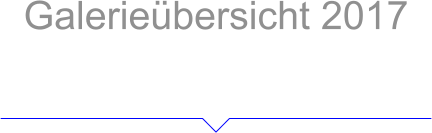 Galerieübersicht 2017 