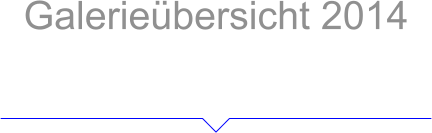 Galerieübersicht 2014 