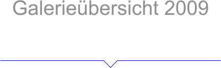 Galerieübersicht 2009 