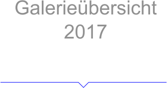 Galerieübersicht 2017 