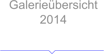 Galerieübersicht 2014 