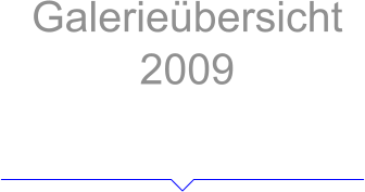 Galerieübersicht 2009 